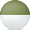 White - Olive Green